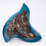 inclusion-resine-art-sculture-decoration-studio-lavandou