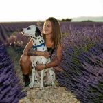 modele-exterieure-lavande-dalmatien-crepuscule-_resultat