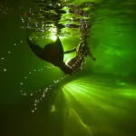 sirene-nocturne-underwater-nuit-piscine-var